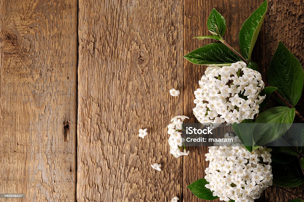 fresh flowers on a wooden table flowers on a wooden table background Blossom Stock Photo