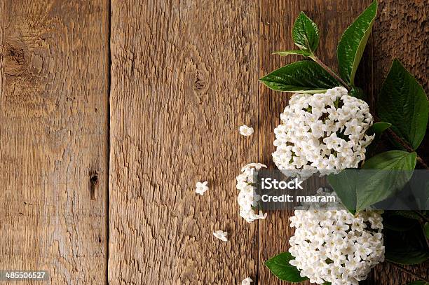 Fresh Flowers On A Wooden Table Stock Photo - Download Image Now - Blossom, Border - Frame, Brown