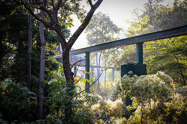 monorail in the park stock photo