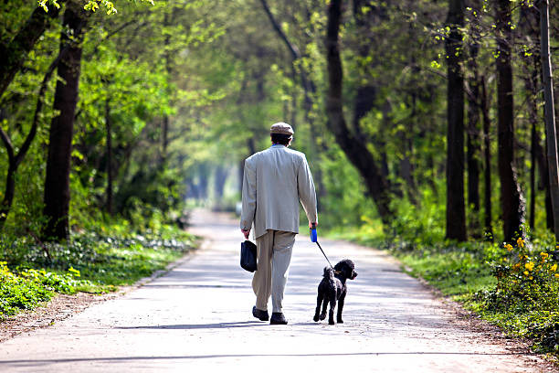 istock Elder man walking with dog 485507707