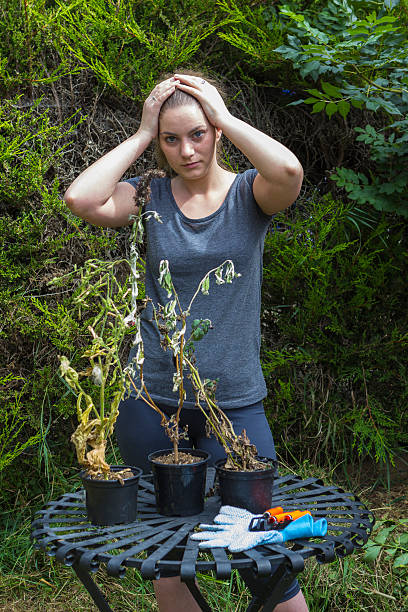 istock Sad young woman looking at dry flowers 485509736