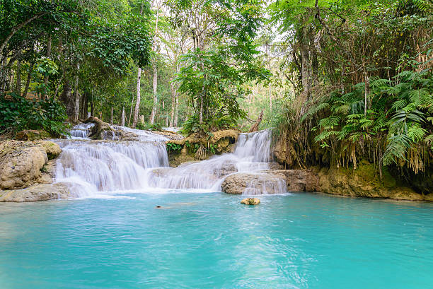 istock Kouangxi waterfall at Luang Prabang in Laos. 485512352