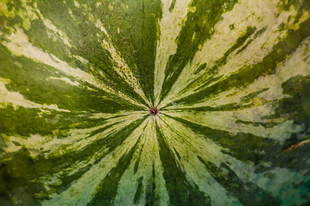 istock Watermelon shot end on skin texture 485513482