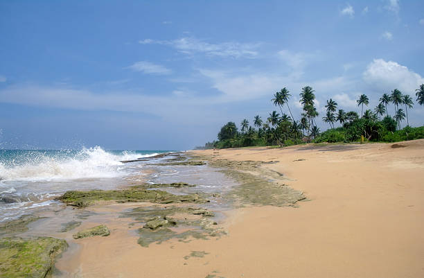 istock Tropical paradise  beach. Sri Lanka 485515918
