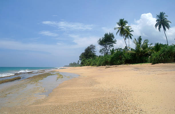 istock Tropical paradise  beach. Sri Lanka 485515922
