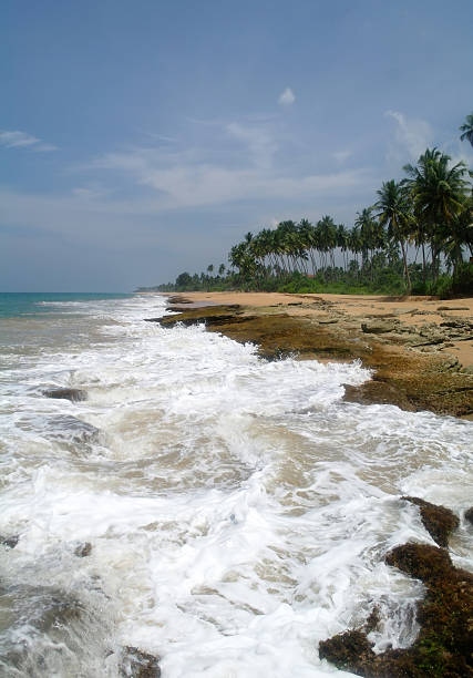 istock Tropical paradise  beach. Sri Lanka 485515994