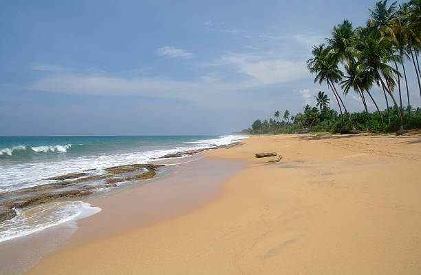 istock Tropical paradise  beach. Sri Lanka 485515998