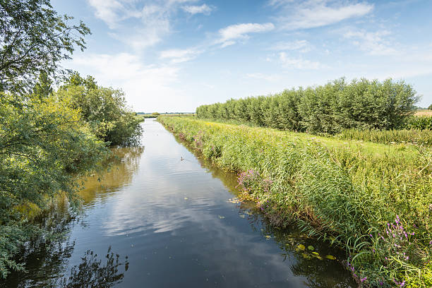 istock Narrow stream in a rural area during summer 485517270
