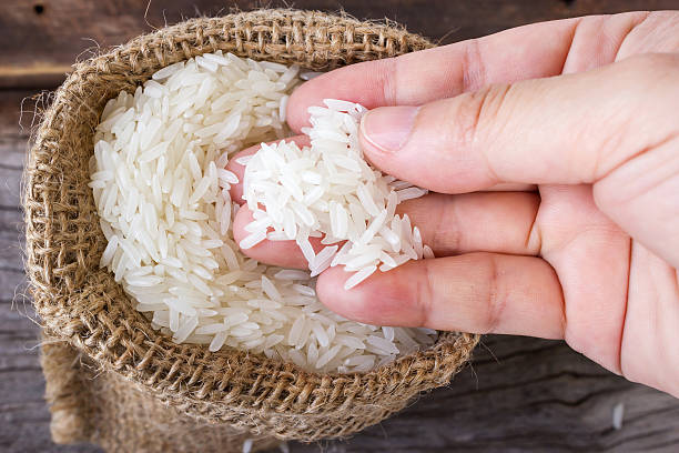 istock Woman's hand picking uncooked rice in a small  burlap sack. 485517628
