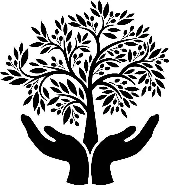 Vector illustration of Olive tree in hands