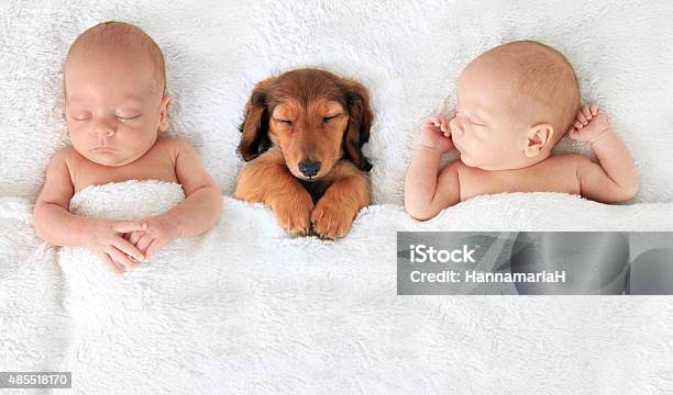 Newborn Baby And Puppy Stock Photo - Download Image Now - Dog, Baby - Human Age, Sleeping