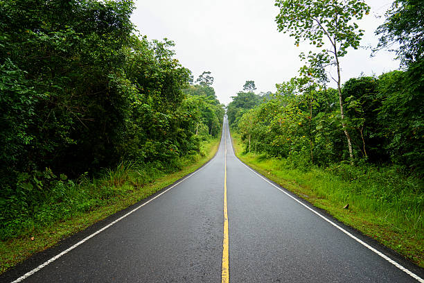 istock Forest road at Khaoyai National Park 485519024