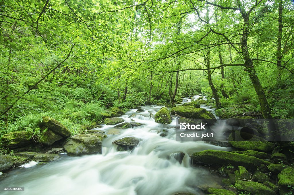 wild creek in the Basque country Awe Stock Photo