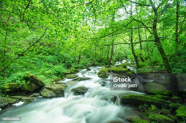 Riacho Selvagem Do País Basco - Fotografias de stock e mais imagens de Ao Ar Livre - Ao Ar Livre, Arenito, Beleza
