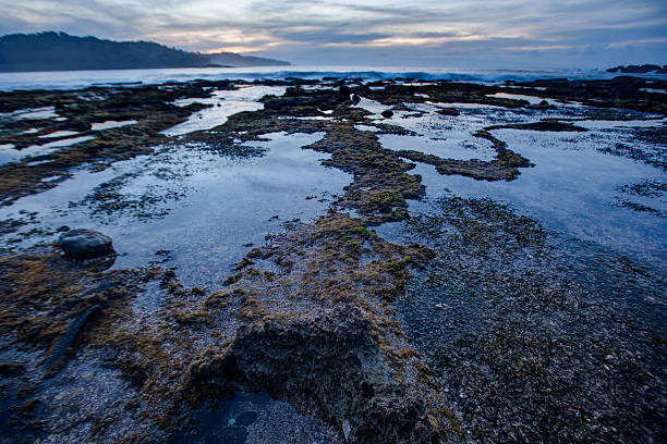 istock Sunrise on the beach with blue water and clouds 485521693