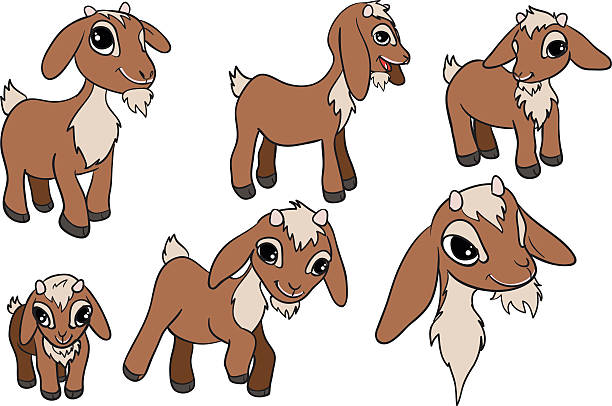 goat vector art illustration