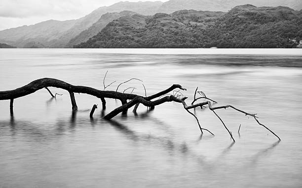 ロックロモンドはスコットランド高地 - loch lomond loch ben lomond scotland ストックフォトと画像