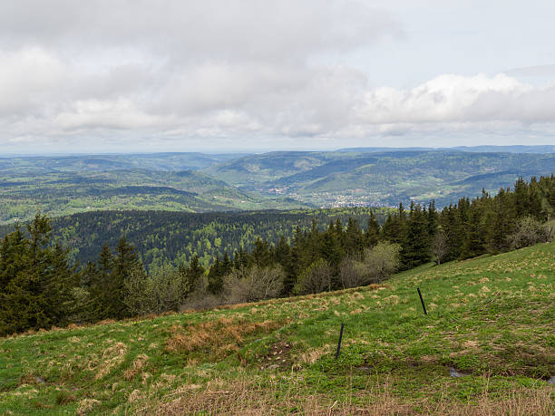 istock Grassland on top of Vosges Hills 485523326