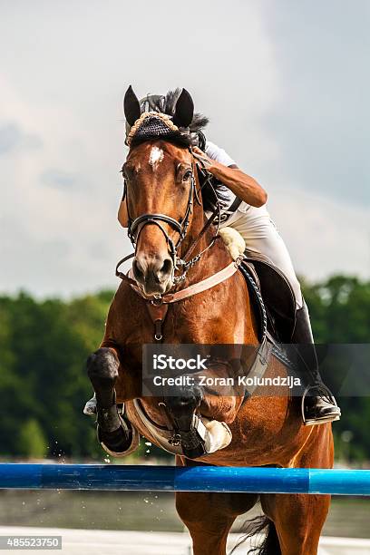 Show Jumping Horse With Rider Jumping Over Hurdle Stock Photo - Download Image Now