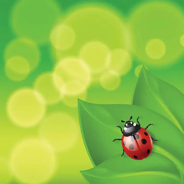 Vector illustration of Green background with ladybird