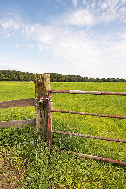 istock Rusty gate in a rural landscape from close 485525388