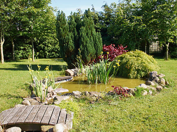 istock Beautiful classical garden fish pond gardening background 485525498