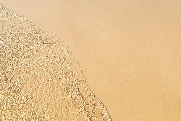 istock Transparent wave is incident on a sandy beach 485526306