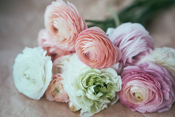 istock ranunculus bouquet on craft paper 485526445