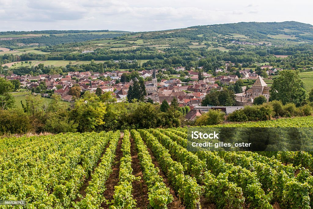 Vineyard and village of Santenay in Burgundy which is manufactured in the wine of the same name. Burgundy - France Stock Photo