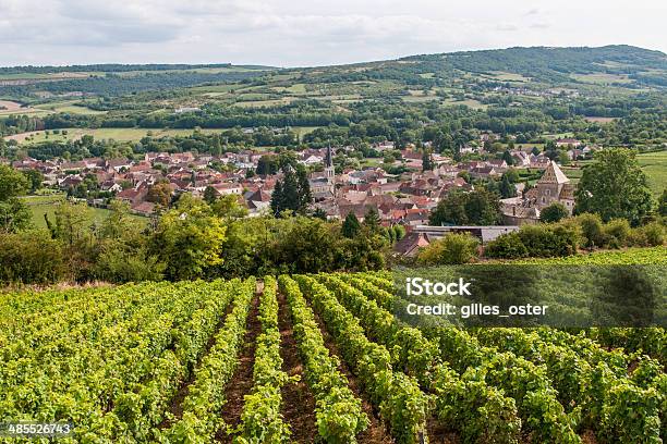 Vineyard And Village Of Santenay In Burgundy Stock Photo - Download Image Now - Burgundy - France, Cote-d'Or - Burgundy, France