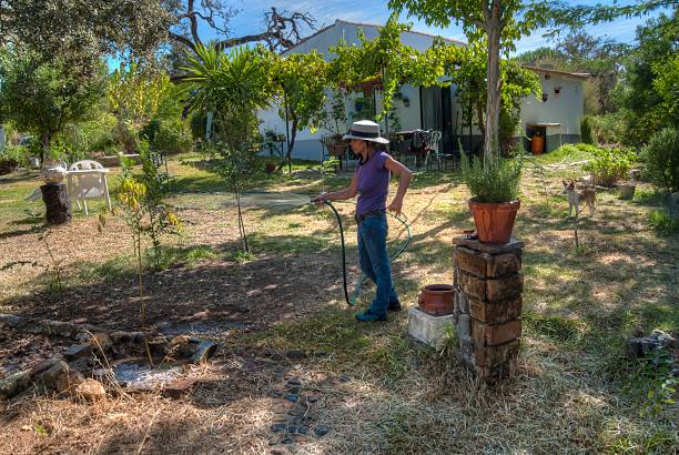 istock Mature woman with hat making work gardening 485536008
