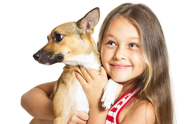 istock girl holding a dog on hands 485536086