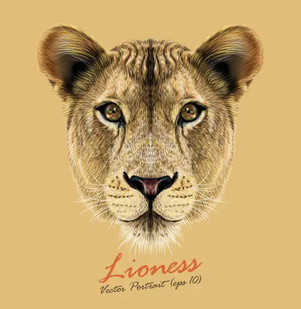 Vector illustration of Vector Portrait of a Lioness