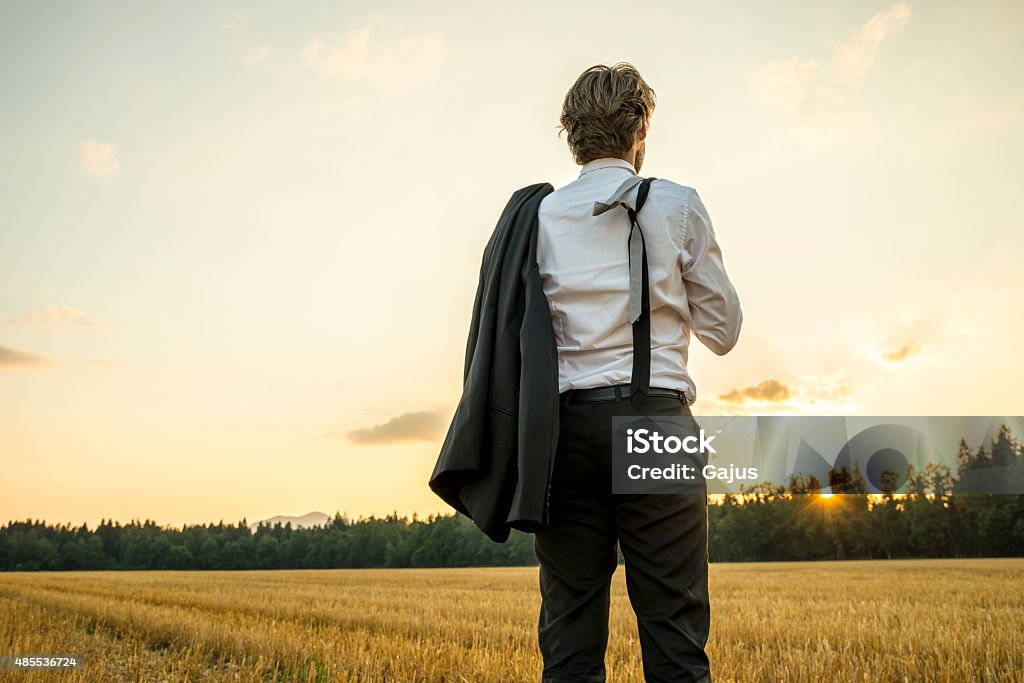 Young successful businessman standing in wheat field looking gaz Young successful businessman standing in wheat field looking gazing into the future as he decides upon new steps and directions to take in his career. 2015 Stock Photo