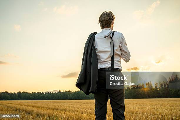 Young Successful Businessman Standing In Wheat Field Looking Gaz Stock Photo - Download Image Now