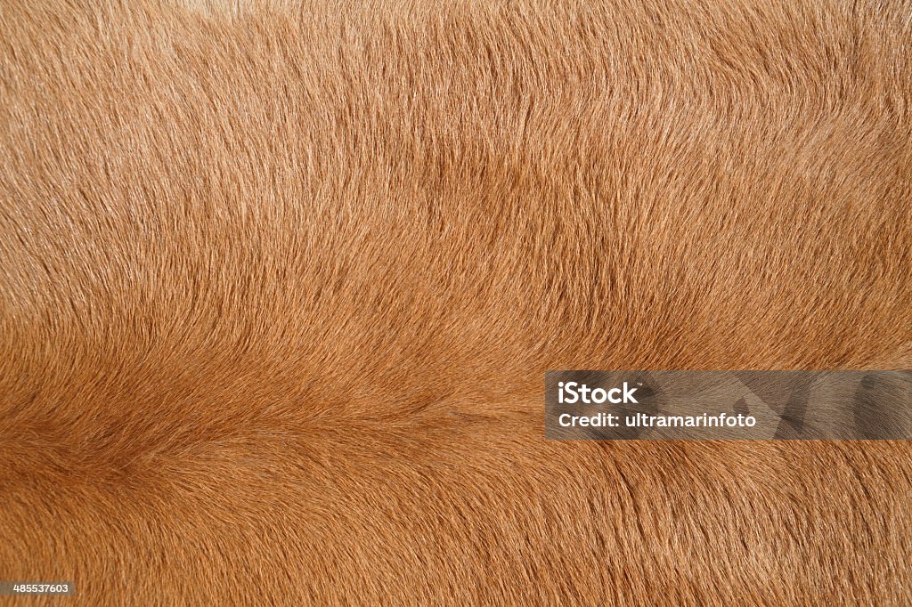 Leather texture High resolution natural brown leather  texture. Abstract Stock Photo