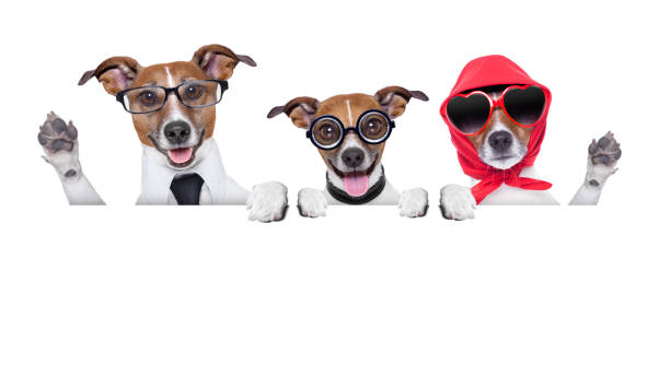 istock happy family dog 485538253