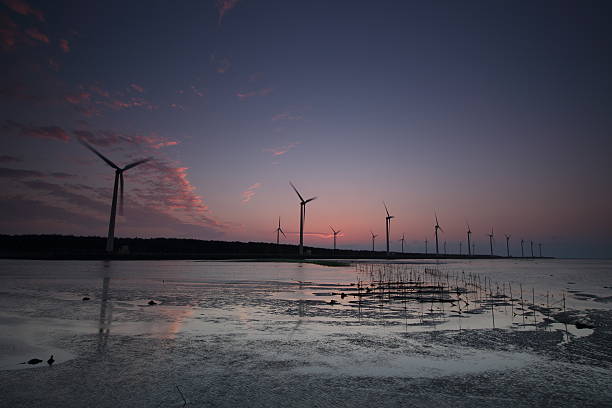 istock Beautiful Sunset at Gaomei Wetlands, Taichung, Taiwan 485539480