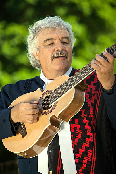 istock Traditional Argentine musician 485540055