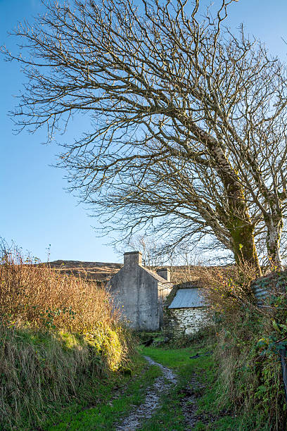 cottage sulla collina in irlanda - republic of ireland irish culture cottage door foto e immagini stock