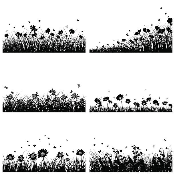6 Meadow Backgrounds vector art illustration
