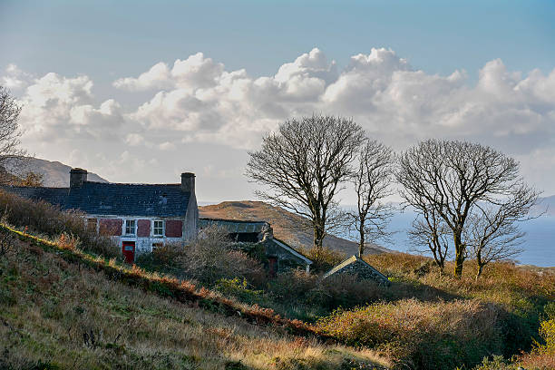cottage sulla collina in irlanda - republic of ireland irish culture cottage door foto e immagini stock