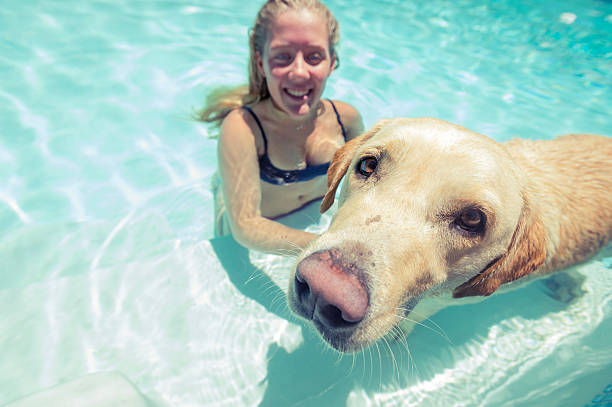 istock Girl and dog playing in a swimming pool 485541323