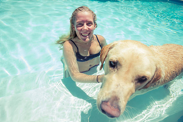 istock Girl and dog playing in a swimming pool 485541327