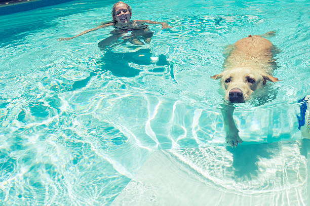 istock Girl and dog playing in a swimming pool 485541331