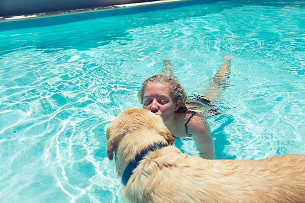 istock Girl and dog playing in a swimming pool 485541337