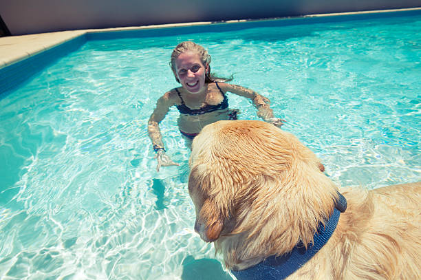 istock Girl and dog playing in a swimming pool 485541341