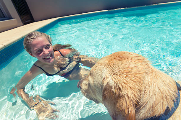 istock Girl and dog playing in a swimming pool 485541343