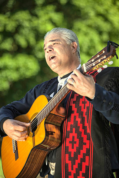 istock Traditional Argentine musician 485541359
