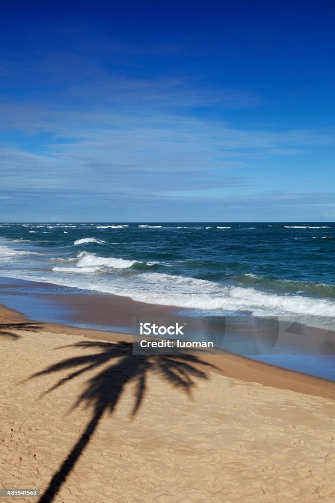 Beach in Salvador, Bahia - Lizenzfrei Atlantik Stock-Foto